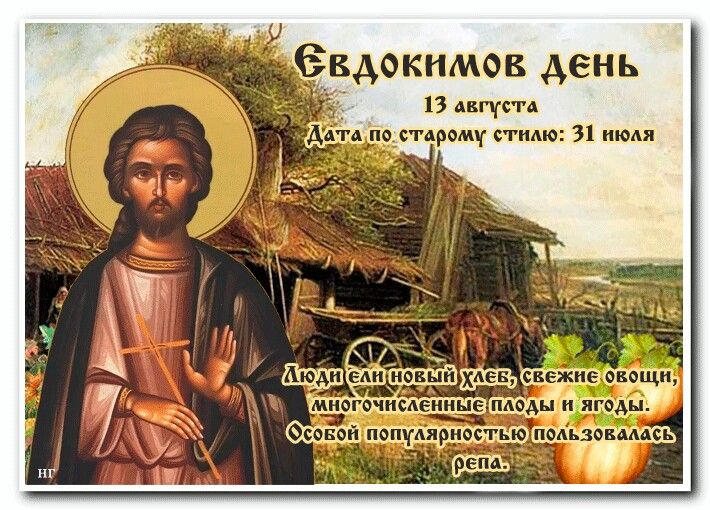 13 августа: Евдокимов день